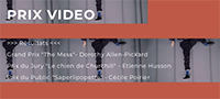 Prix vidéo